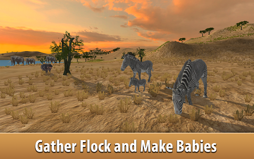 Wild Zebra Horse Simulator 3D - Gameplay image of android game