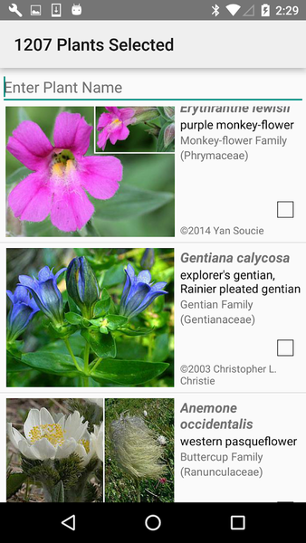 Glacier NP Wildflowers - Image screenshot of android app