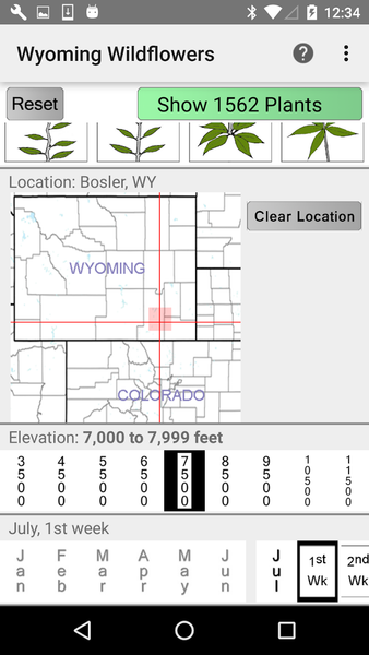 Wyoming Wildflowers - Image screenshot of android app