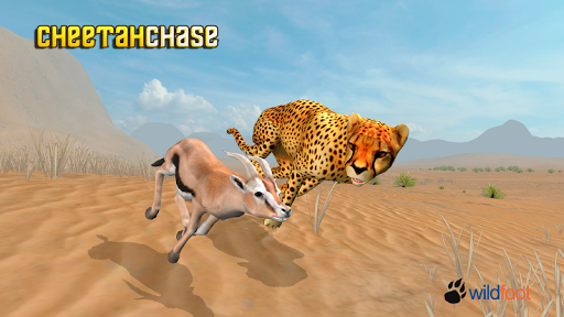 Cheetah Chase Simulator - Gameplay image of android game