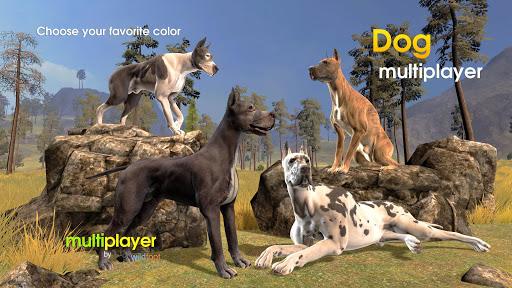 Dog Multiplayer : Great Dane - عکس بازی موبایلی اندروید