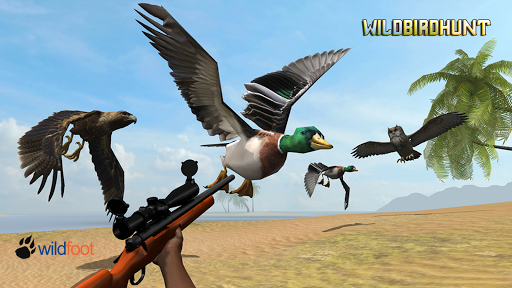 Wild Bird Hunt - Gameplay image of android game