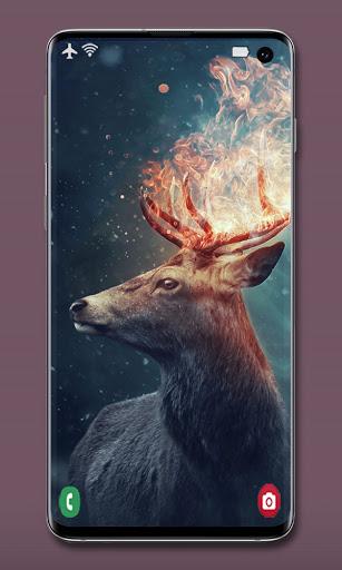 Animal Wallpapers - عکس برنامه موبایلی اندروید