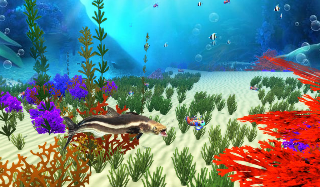 The Cobia - Gameplay image of android game