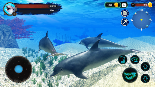 The Dolphin - Gameplay image of android game