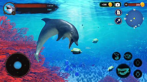 The Dolphin - Gameplay image of android game