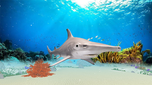The Hammerhead Shark - Gameplay image of android game