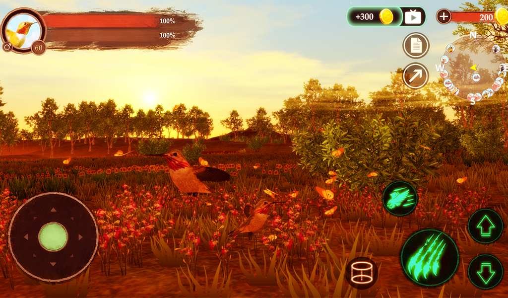 The Hummingbird - Gameplay image of android game
