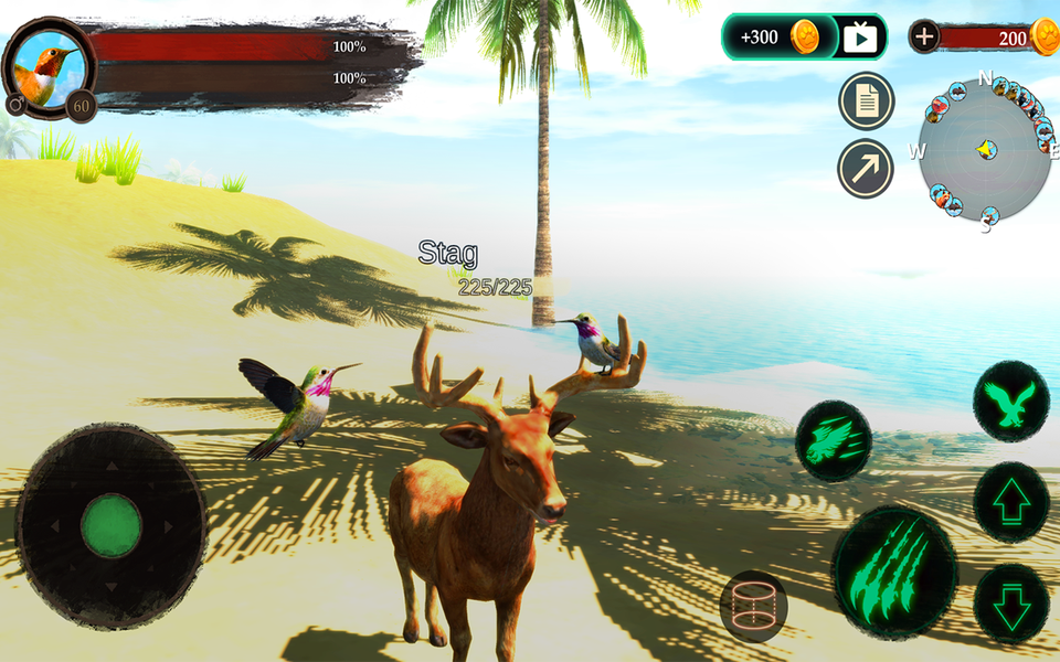 The Hummingbird - Gameplay image of android game