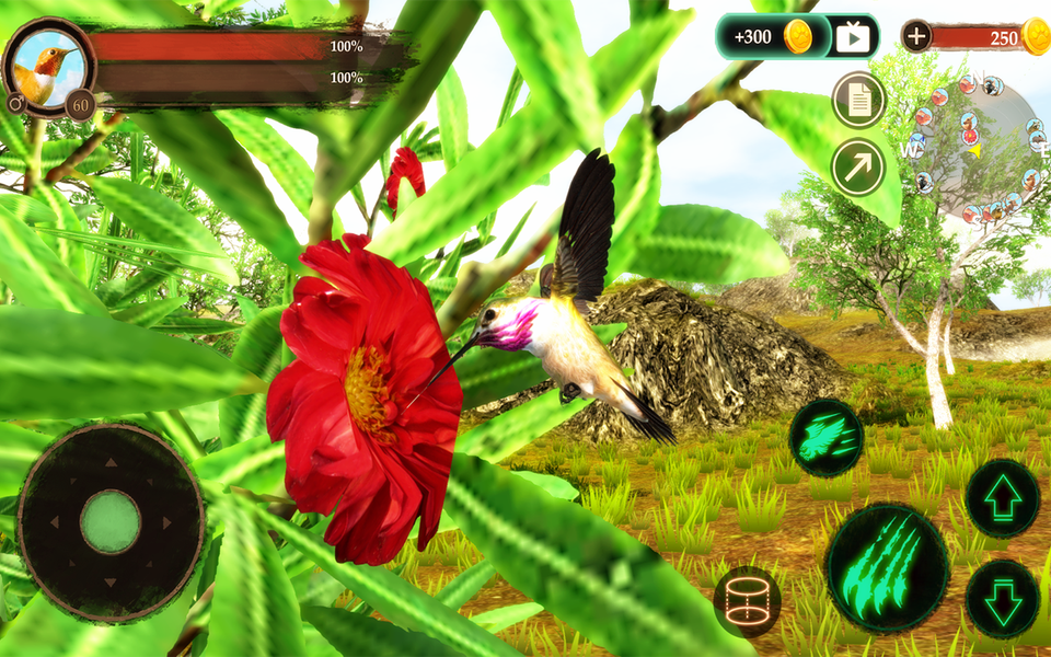 The Hummingbird - Gameplay image of android game