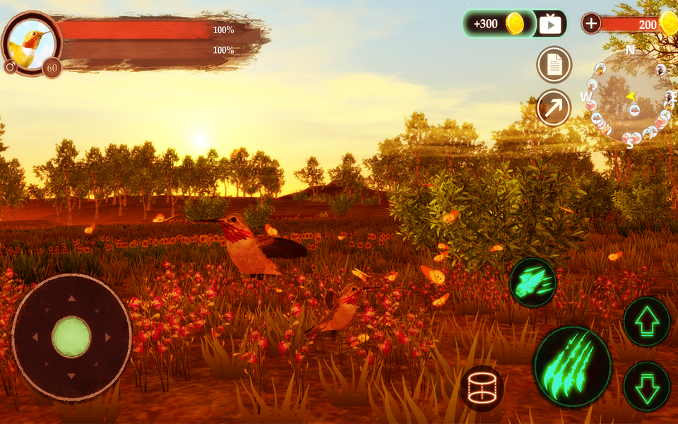 The Hummingbird - Gameplay image of android game