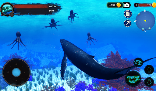The Humpback Whales - Image screenshot of android app