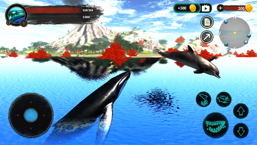 The Humpback Whales - Image screenshot of android app