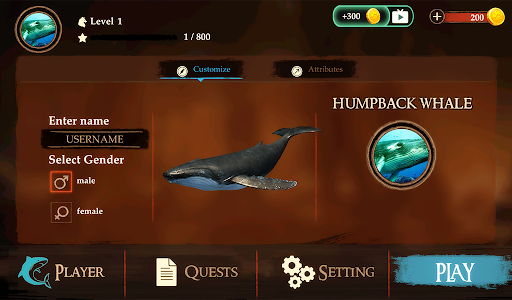 The Humpback Whales - Image screenshot of android app