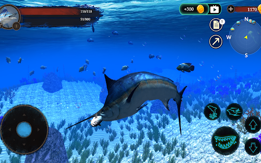 The Blue Marlin - عکس برنامه موبایلی اندروید