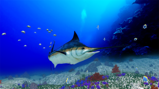 The Blue Marlin - Image screenshot of android app