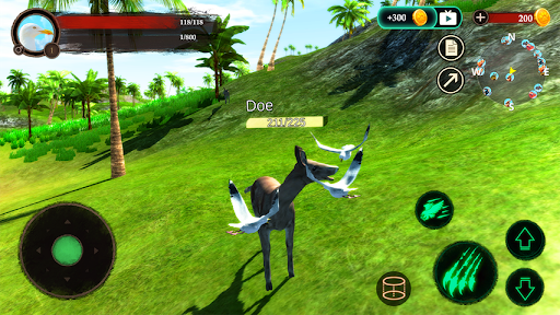 The Seagull - عکس برنامه موبایلی اندروید