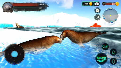 The Seal Elephant - Image screenshot of android app