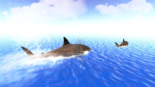 The Shark - Gameplay image of android game