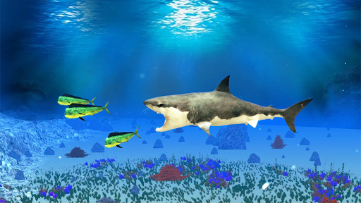 The Shark - Gameplay image of android game