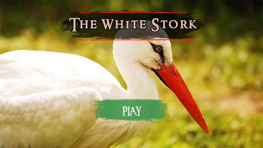 The White Stork - Gameplay image of android game