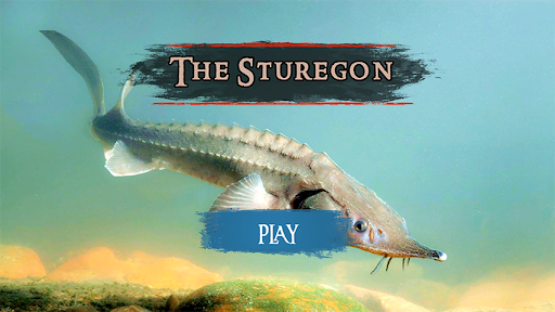 The Sturegon - عکس برنامه موبایلی اندروید
