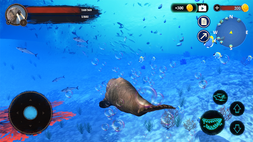 Seal Shark Attack::Appstore for Android