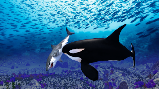 The Killer Whale - Gameplay image of android game