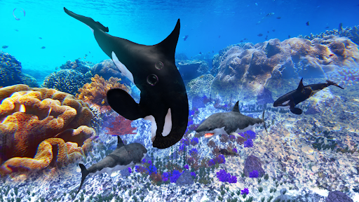 The Killer Whale - Gameplay image of android game