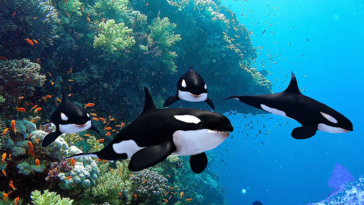 The Killer Whale - Gameplay image of android game