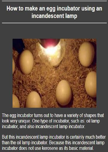 Learn to make an egg incubator - Image screenshot of android app