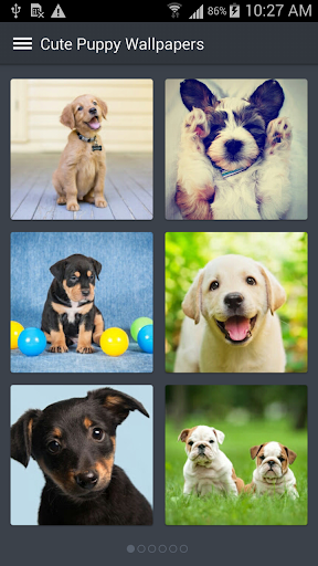 Cute Puppy Wallpapers - Image screenshot of android app