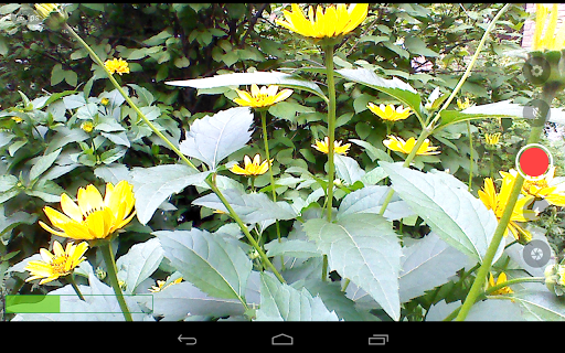 Larix Broadcaster: Live Stream - عکس برنامه موبایلی اندروید