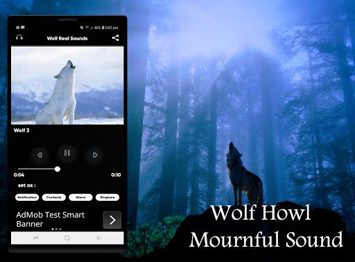 Wolf Sounds Ringtones - Image screenshot of android app