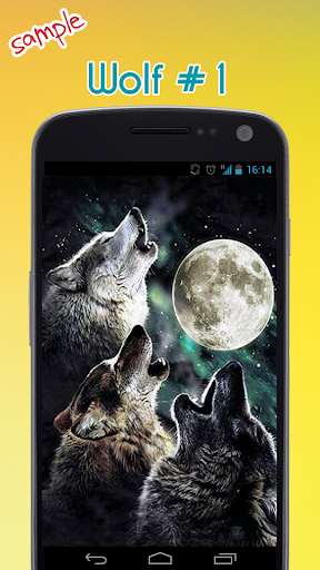 Wolf Wallpaper - عکس برنامه موبایلی اندروید