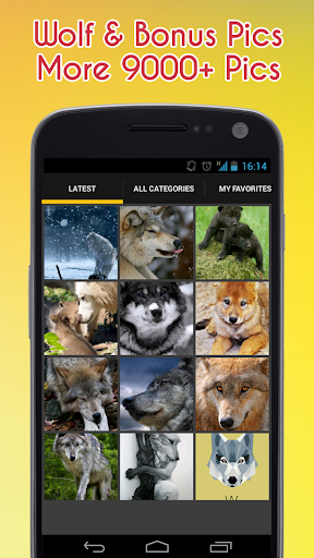 Wolf Wallpaper - Image screenshot of android app