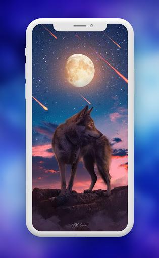 Wolf Wallpaper ـ Wolves - عکس برنامه موبایلی اندروید