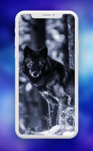 Wolf Wallpaper ـ Wolves - عکس برنامه موبایلی اندروید