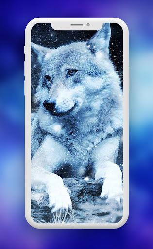 Wolf Wallpaper ـ Wolves - Image screenshot of android app