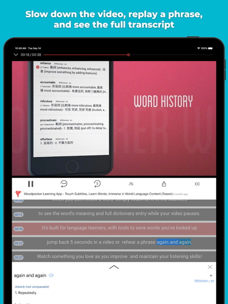Woodpecker - Language Learning - Image screenshot of android app