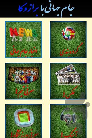 Brazuca - World Cup 2014 - Image screenshot of android app
