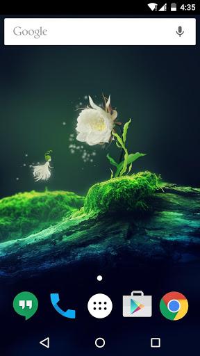 Cactus Flower Live Wallpaper - عکس برنامه موبایلی اندروید