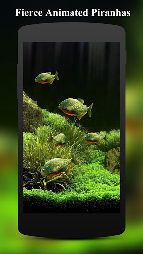 freshwater aquarium live wallpaper