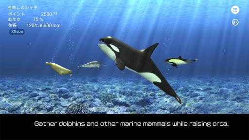 Orca  and marine mammals - عکس برنامه موبایلی اندروید