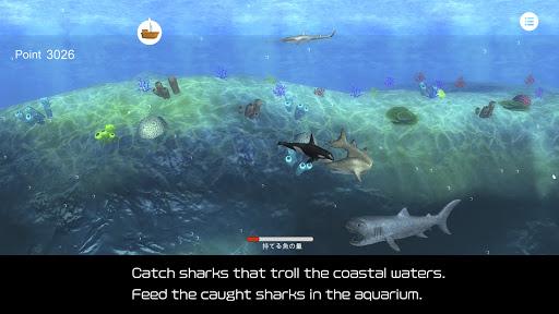 Orca  and marine mammals - عکس برنامه موبایلی اندروید