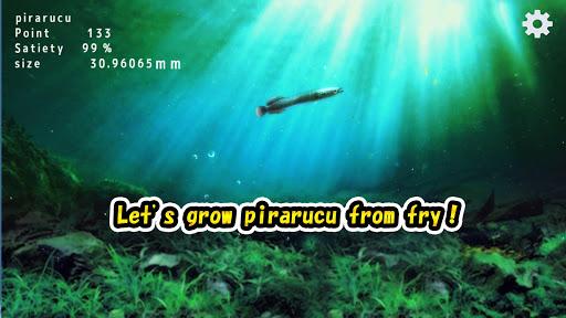 Pirarucu rising from fry - عکس برنامه موبایلی اندروید