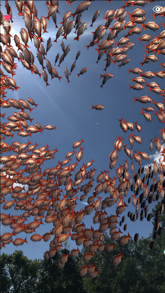 school of fish AR - عکس بازی موبایلی اندروید