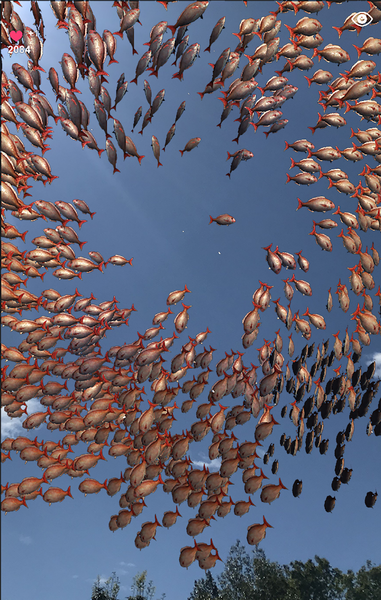 school of fish AR - عکس بازی موبایلی اندروید