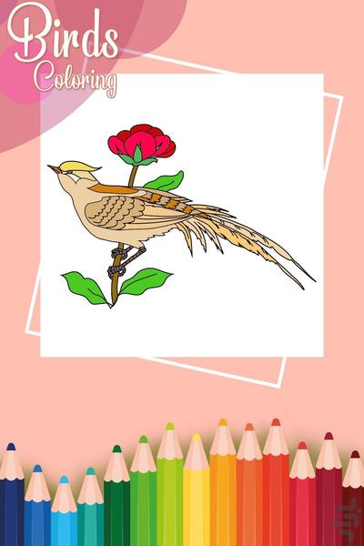 نقاشی پرندگان - عکس برنامه موبایلی اندروید