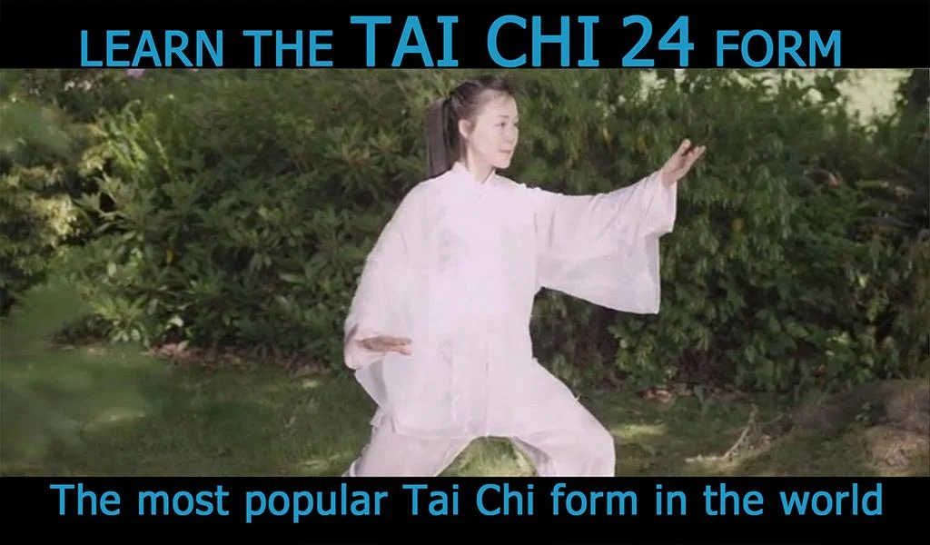 Tai Chi for Beginners 24 Form - Image screenshot of android app